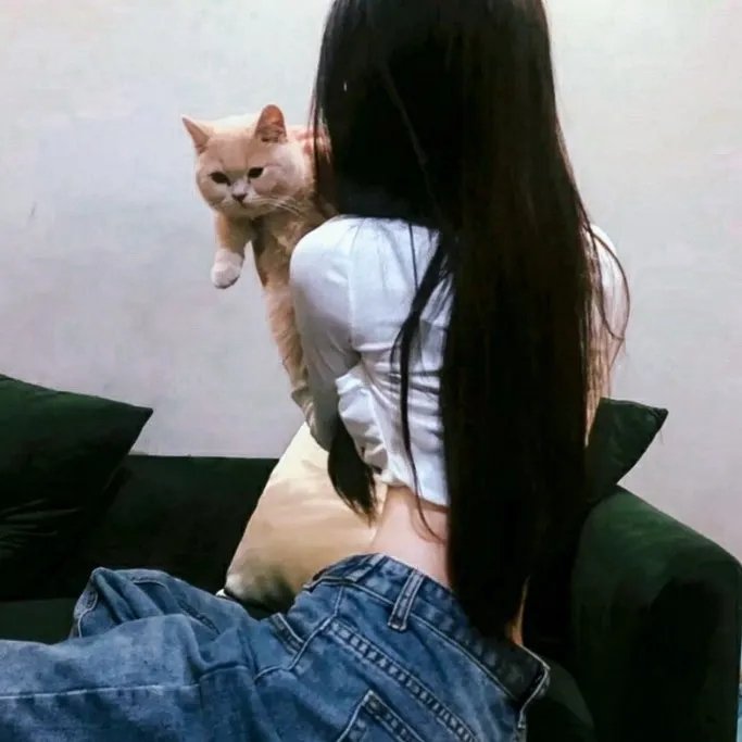 厄普肖一家第一季海报