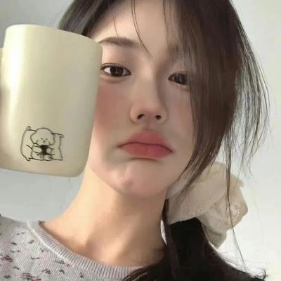 爱猫之城海报